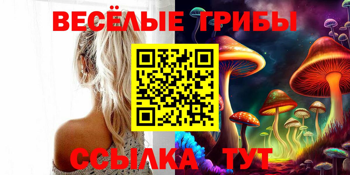 Галлюциногенные грибы MAGIC MUSHROOMS  Вход с VPN  Галлюциногенные грибы прущие грибы  Петрозаводск 