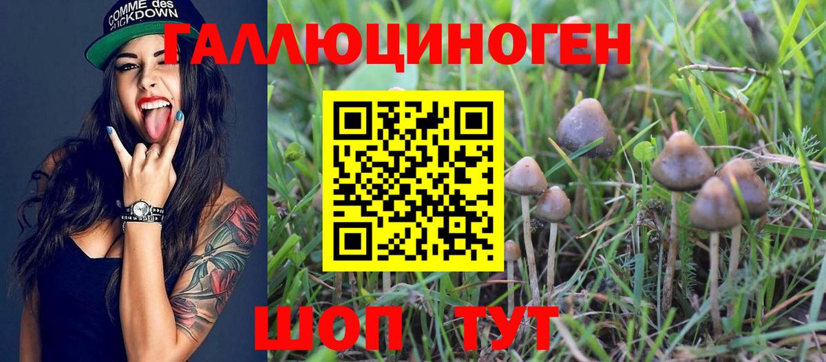 Галлюциногенные грибы прущие грибы Петрозаводск
